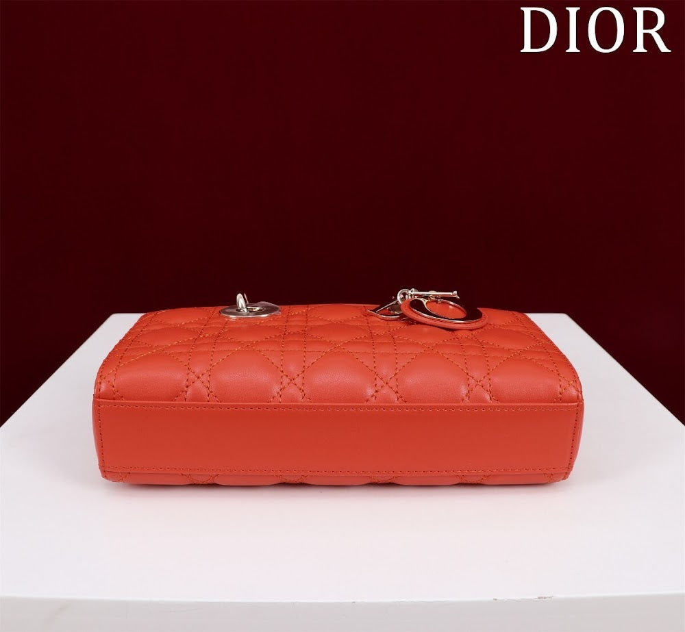 Ezyycart Bags Diorn Luxury Bag --114758