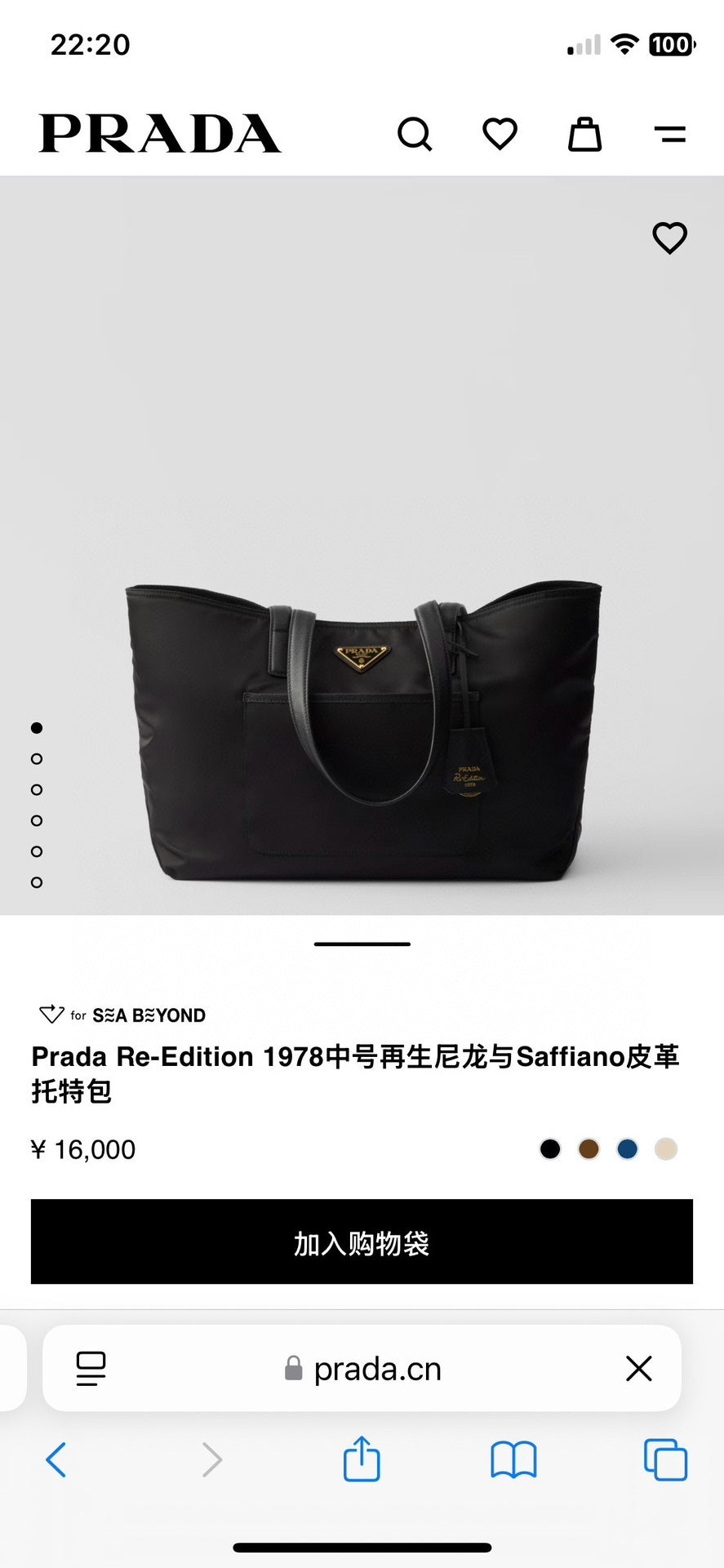 Ezyycart Bags Pradn Luxury Bag --102570