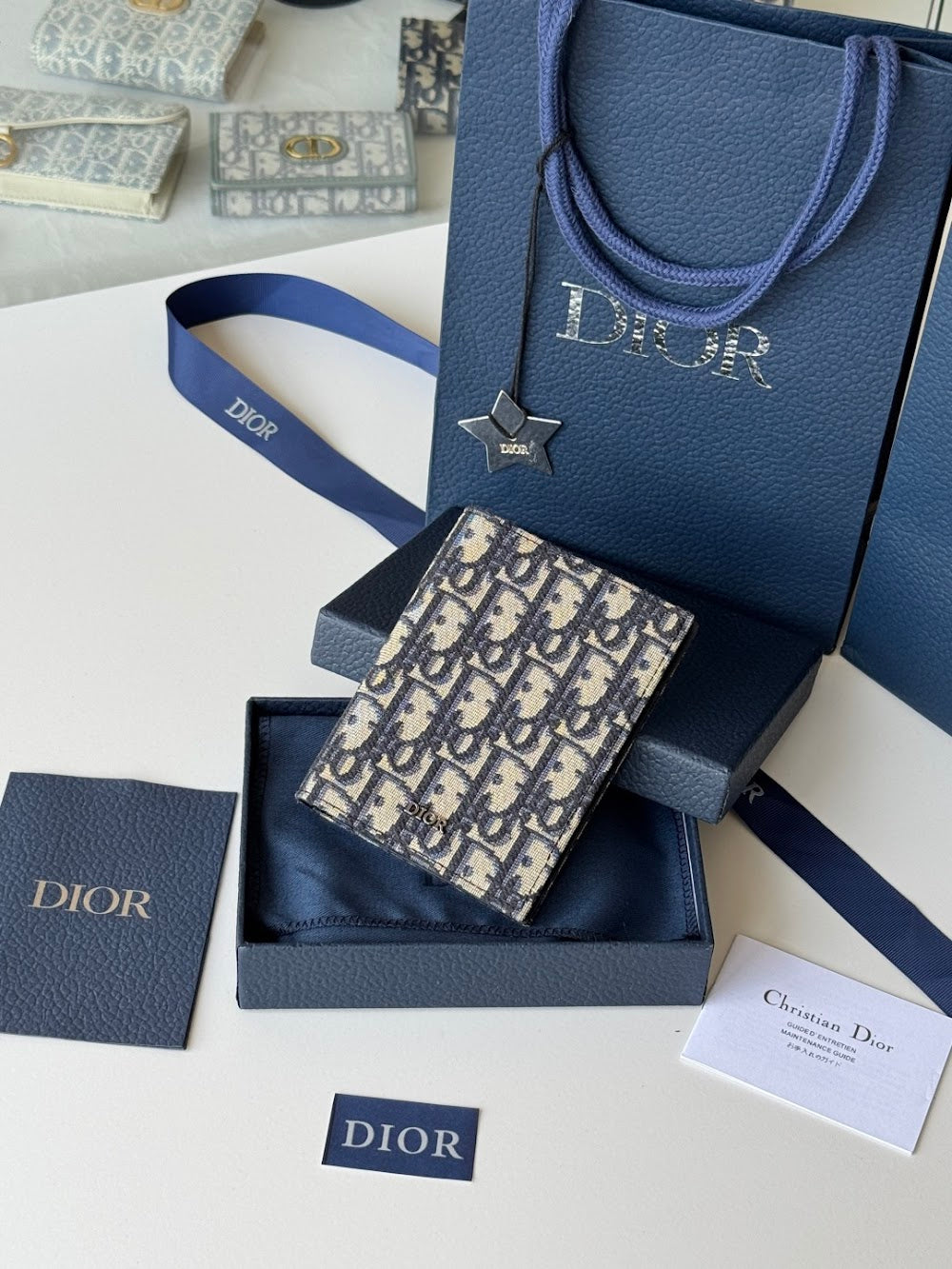 Anum Bags Diorn Luxury Bag --114975
