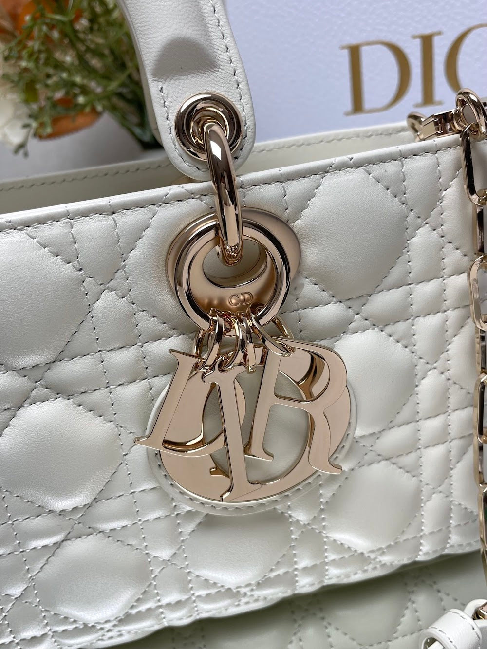 new-designer-premium-bags-nm15916