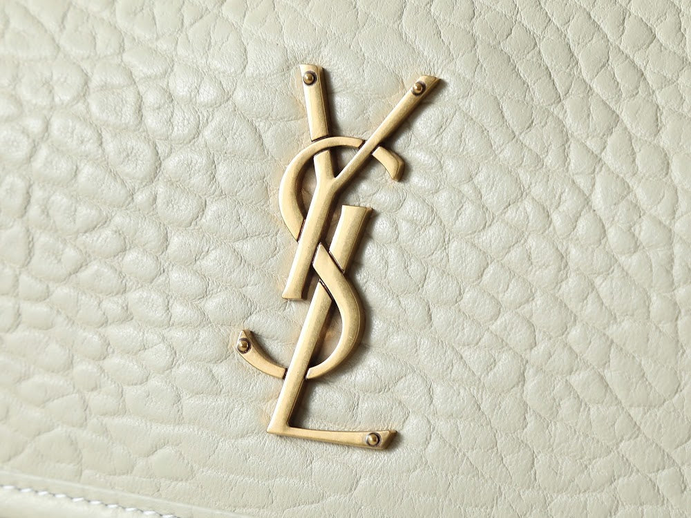 Ezyycart Bags YSLn Luxury Bag --120112
