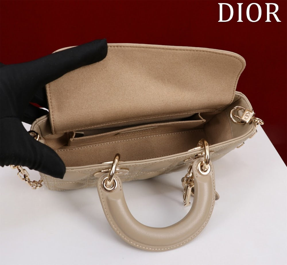 Anum Bags Diorn Luxury Bag --114768