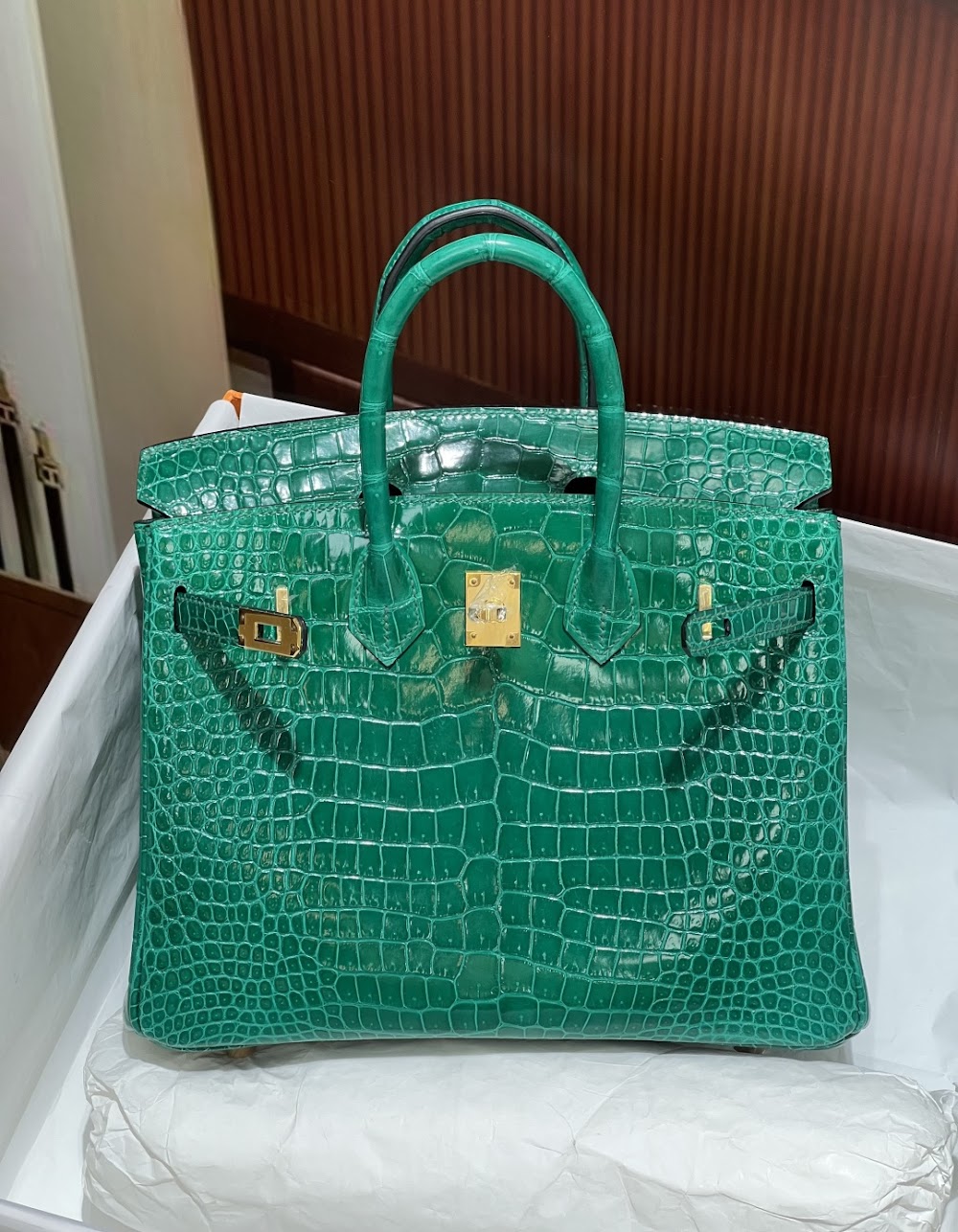 Anum Bags Hermesn Luxury Bag --117116