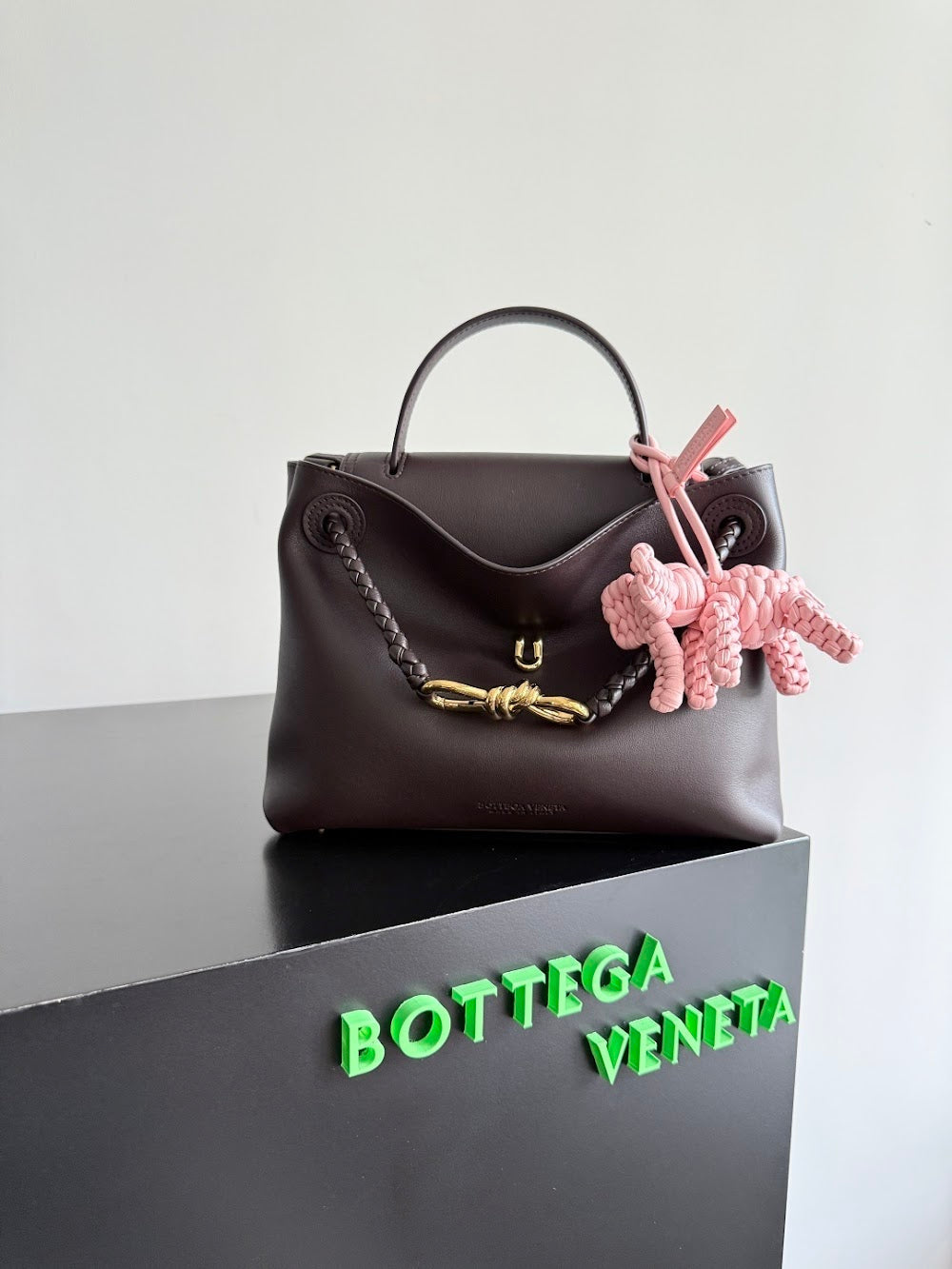 Ezyycart Bags Bottegan Luxury Bag --91436