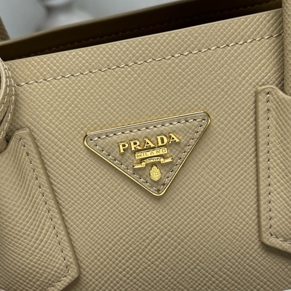 Ezyycart Bags Pradn Luxury Bag --102219