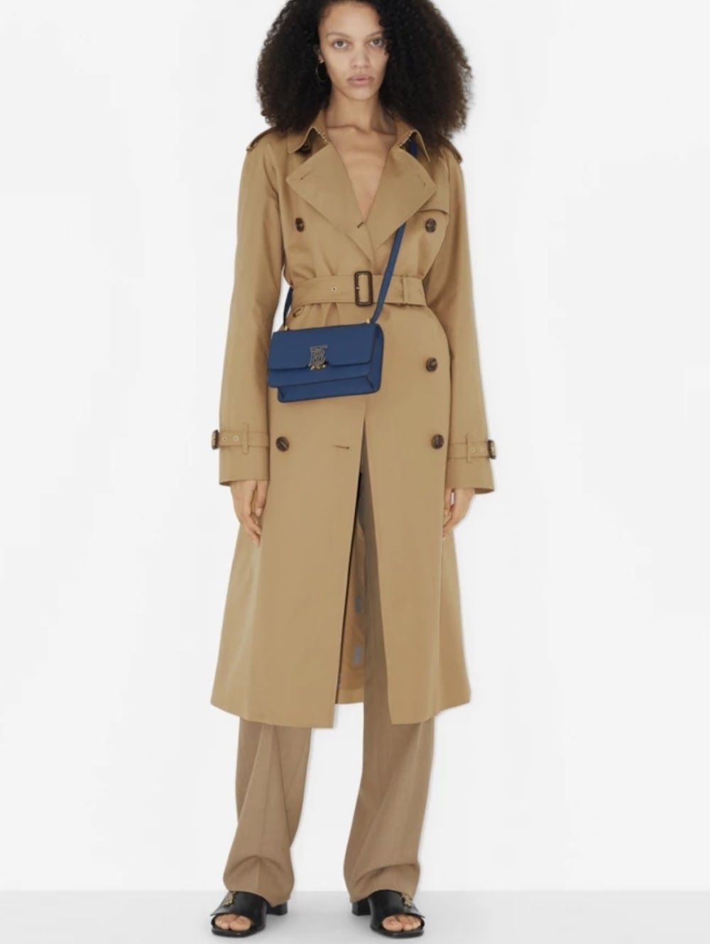 Ezyycart Bags Burberryn Luxury Bag --91605