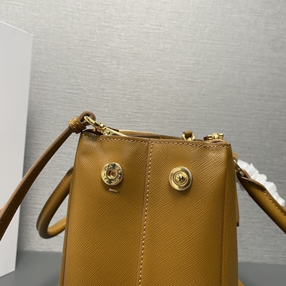 Ezyycart Bags Pradn Luxury Bag --102702