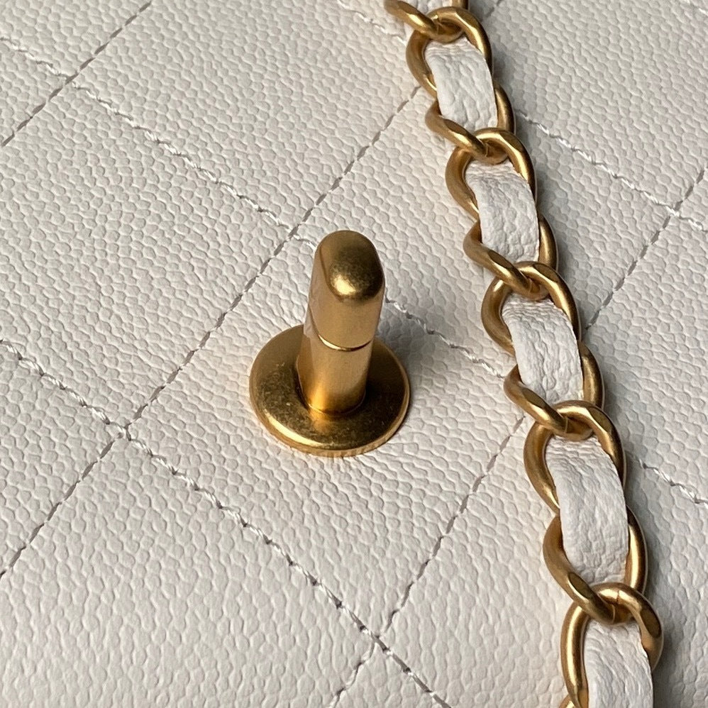 Anum Bags CHn Luxury Bag --113043