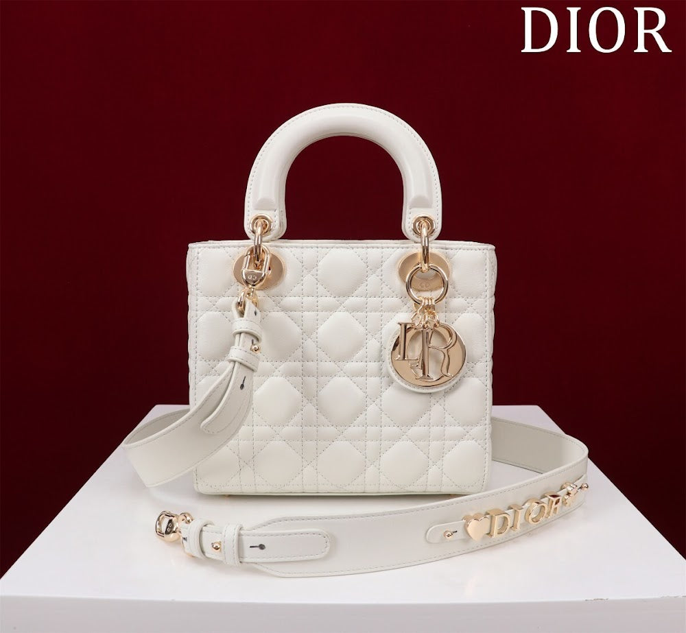 Ezyycart Bags Diorn Luxury Bag --115934