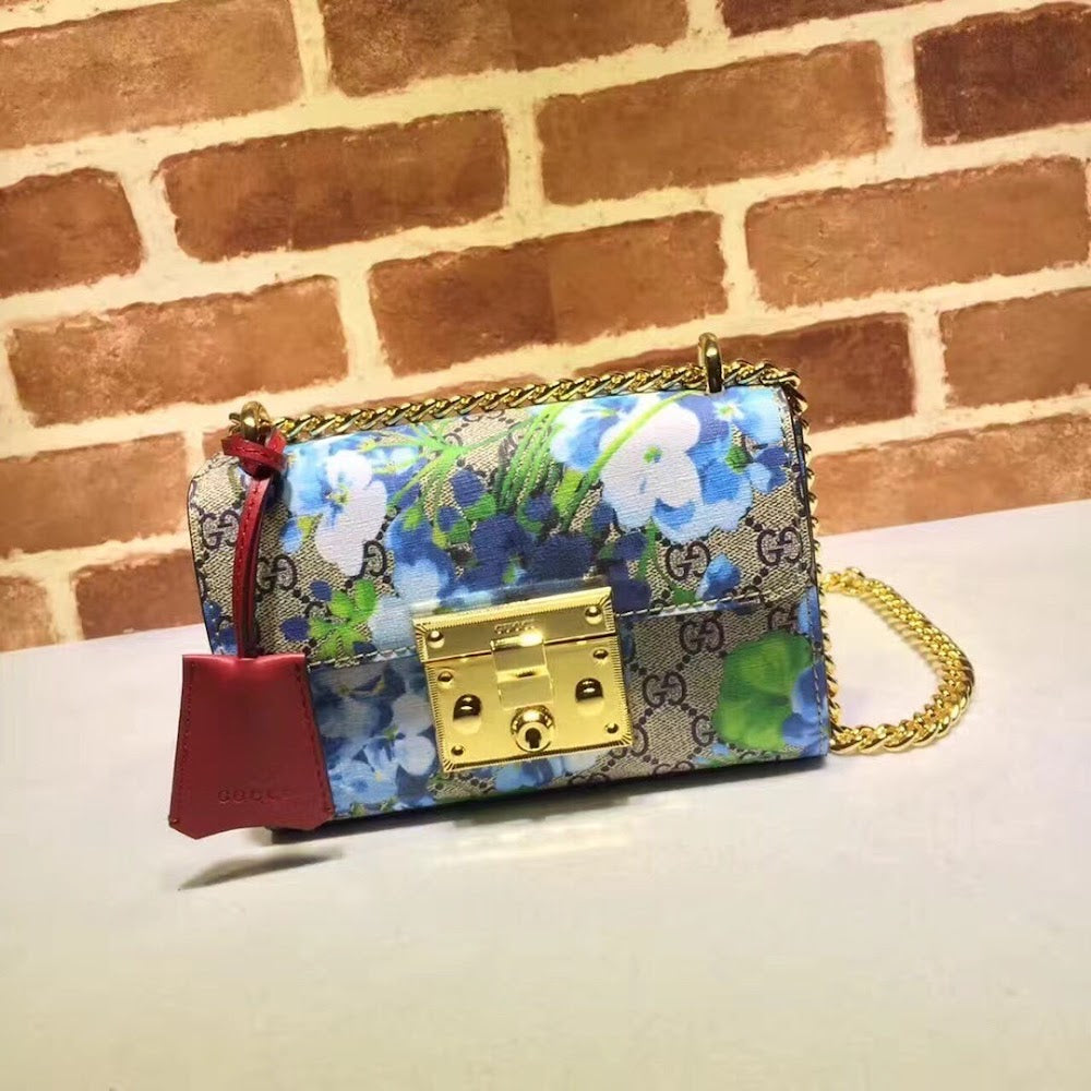 new-designer-premium-bags-nm17650