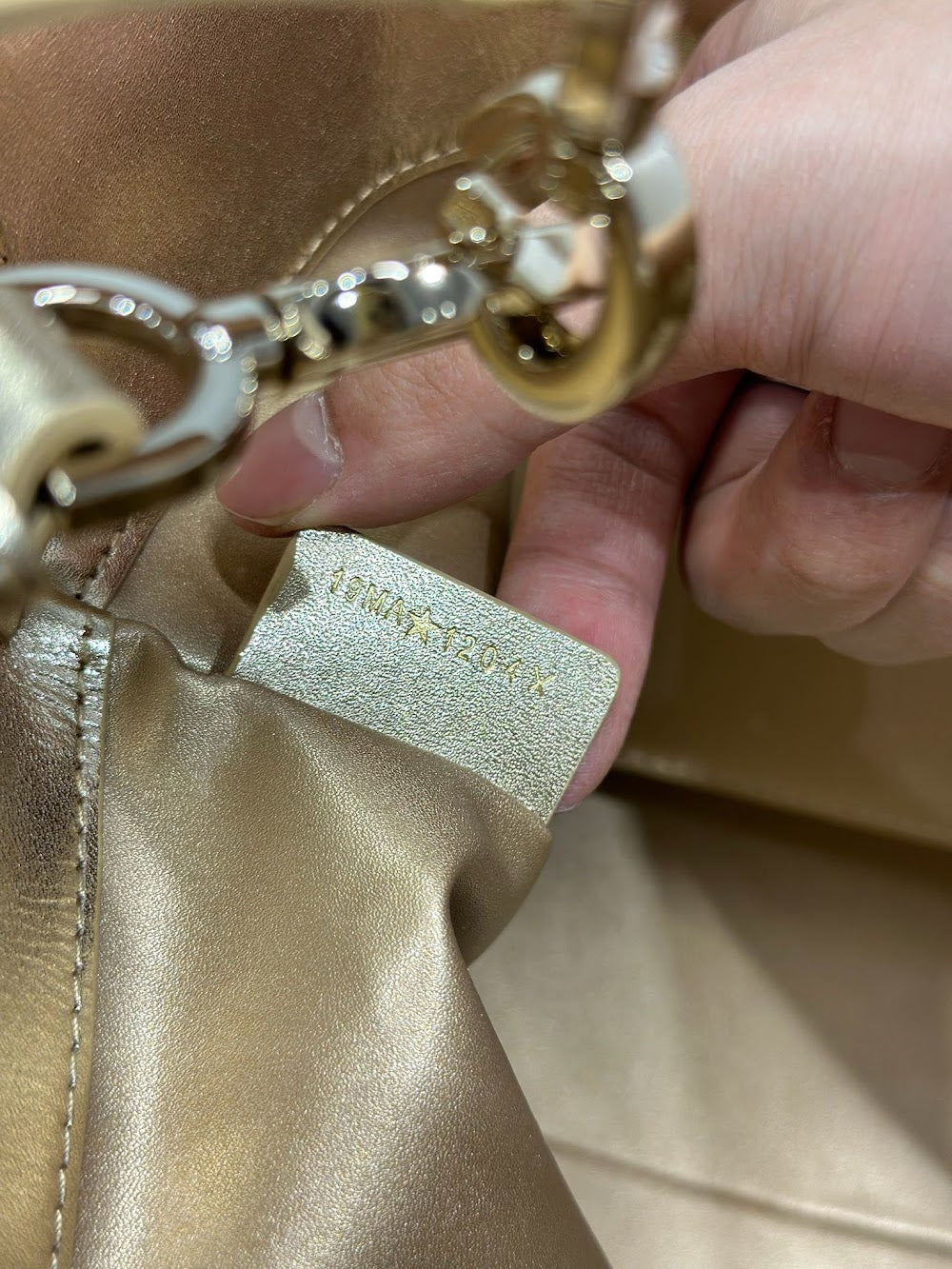 Ezyycart Bags Diorn Luxury Bag --115517
