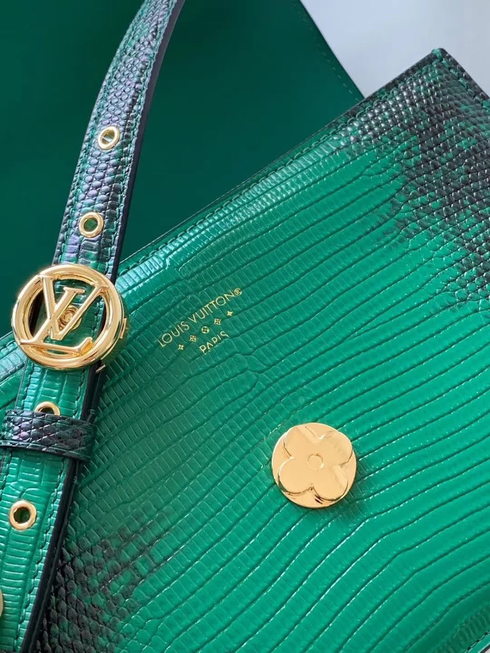 Anum Bags ln Luxury Bag --56008