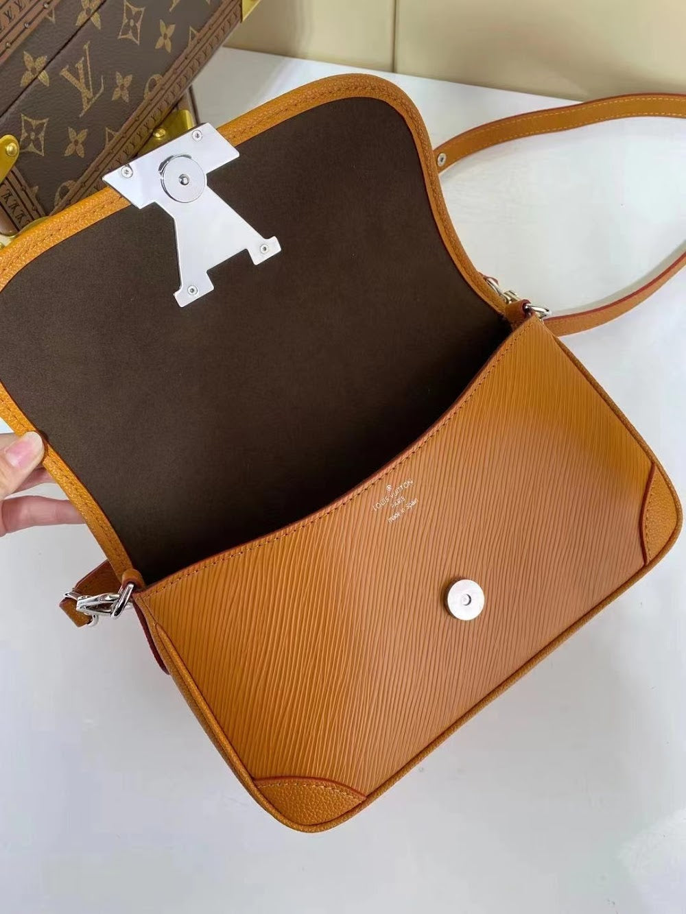 Anum Bags ln Luxury Bag --60730