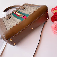new-designer-premium-bags-nm8889