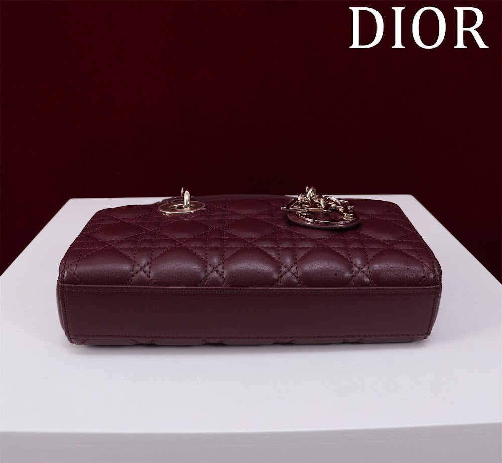 Anum Bags Diorn Luxury Bag --114760
