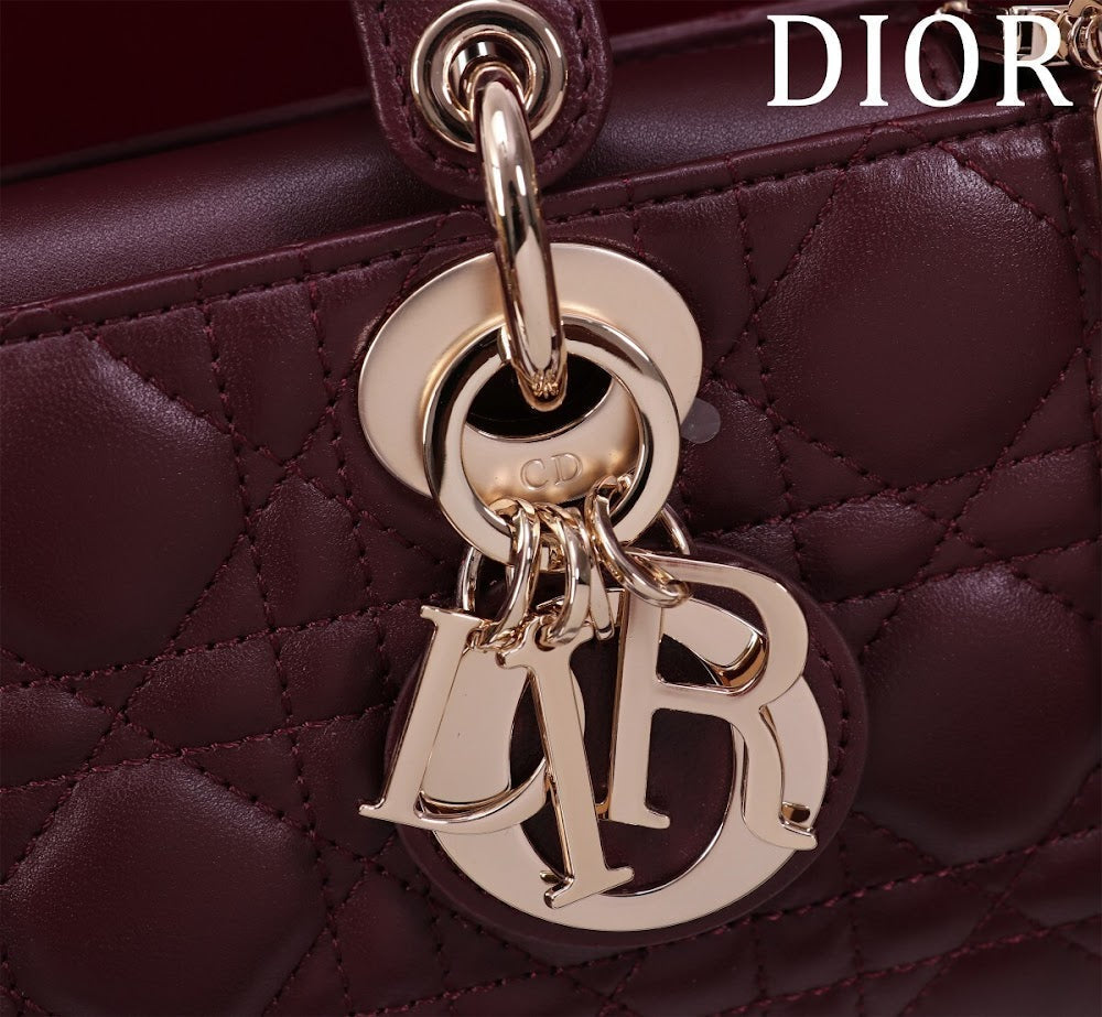 Anum Bags Diorn Luxury Bag --114760