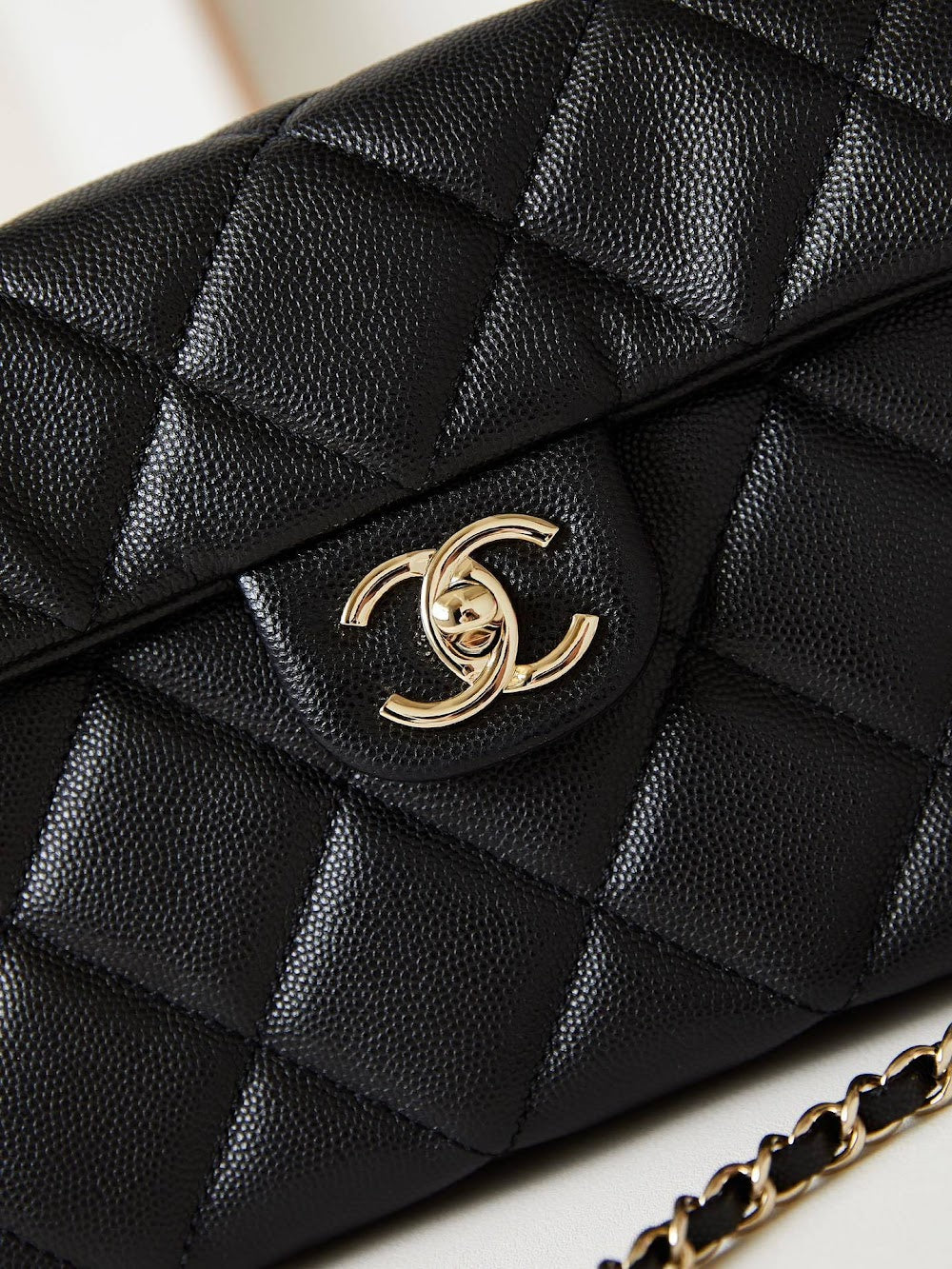 new-designer-premium-bags-nm10000