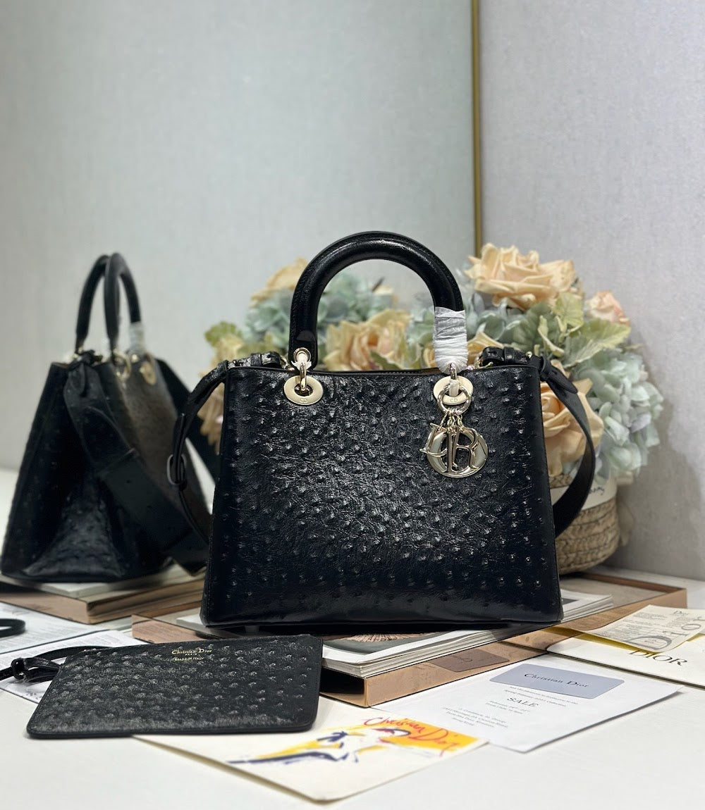 Ezyycart Bags Diorn Luxury Bag --115557