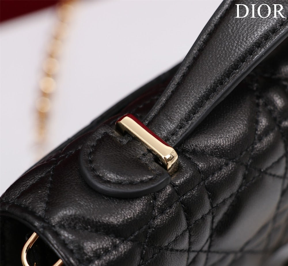 Ezyycart Bags Diorn Luxury Bag --116234