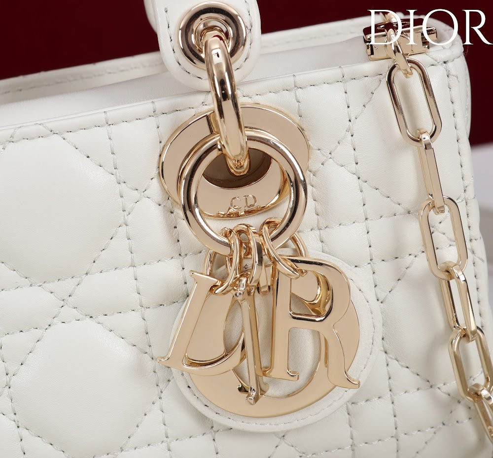 Ezyycart Bags Diorn Luxury Bag --115418