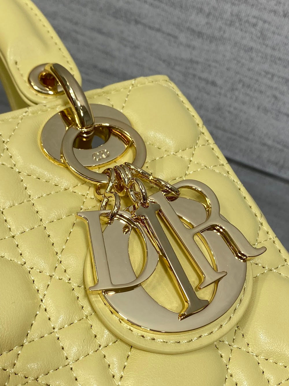 new-designer-premium-bags-nm16474