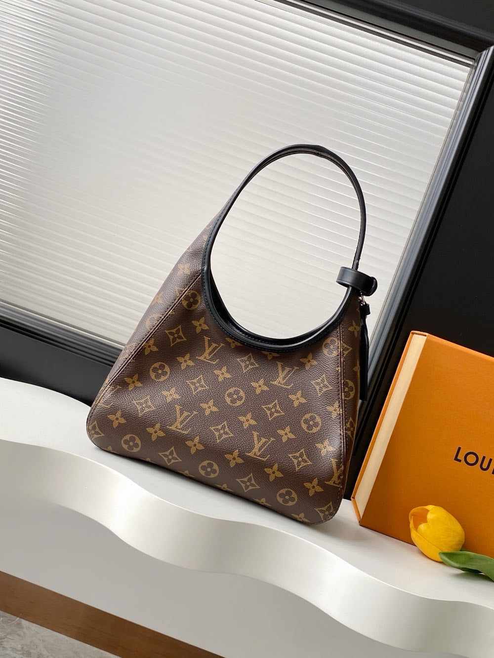Anum Bags LVn Luxury Bag --79677