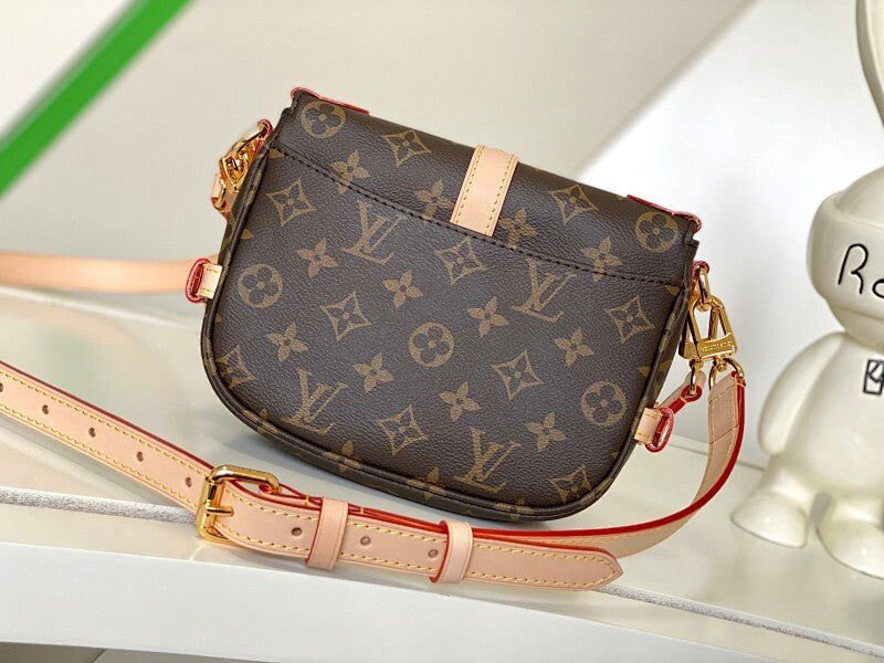 Anum Bags LVn Luxury Bag --79498