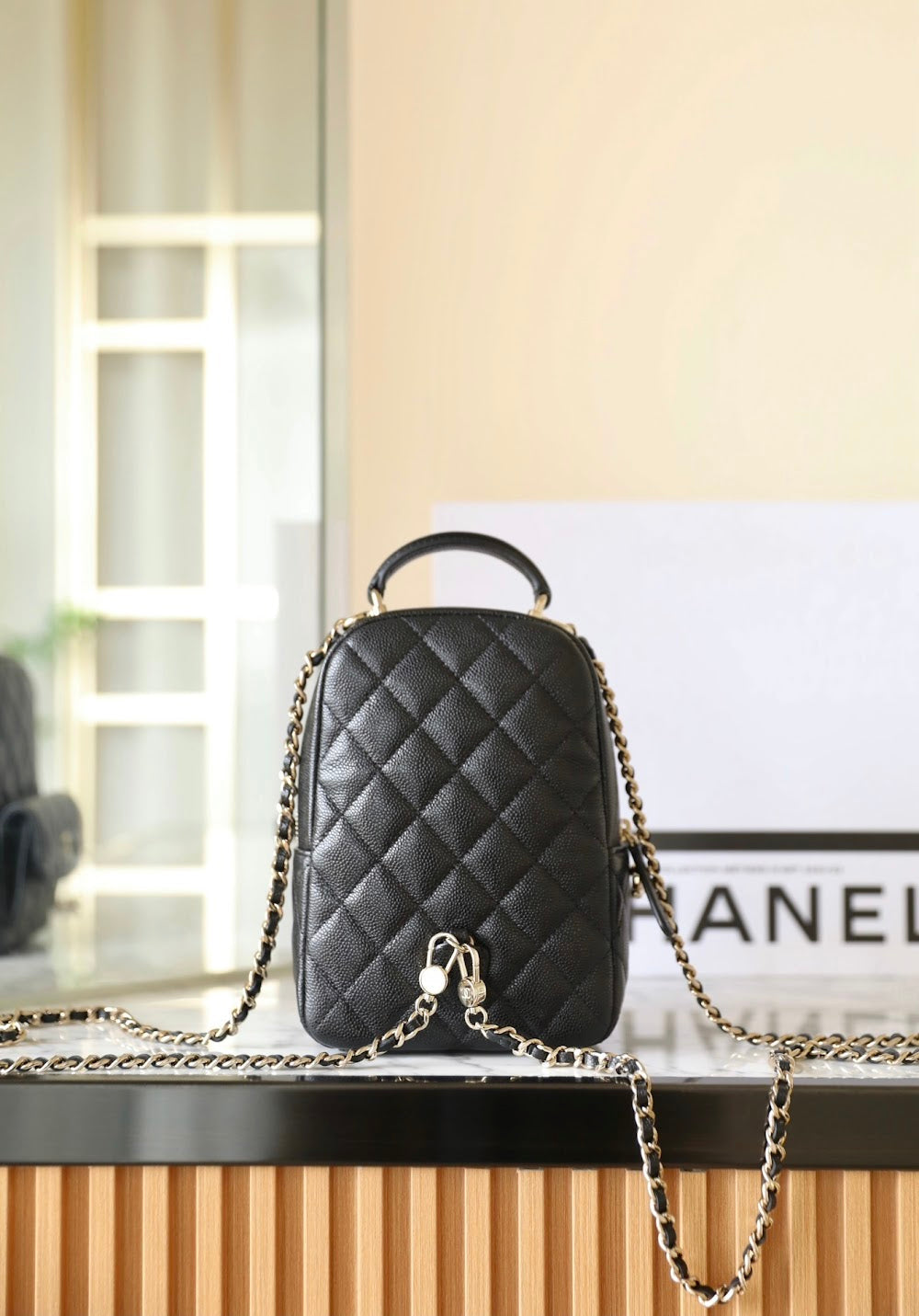 new-designer-premium-bags-nm10179