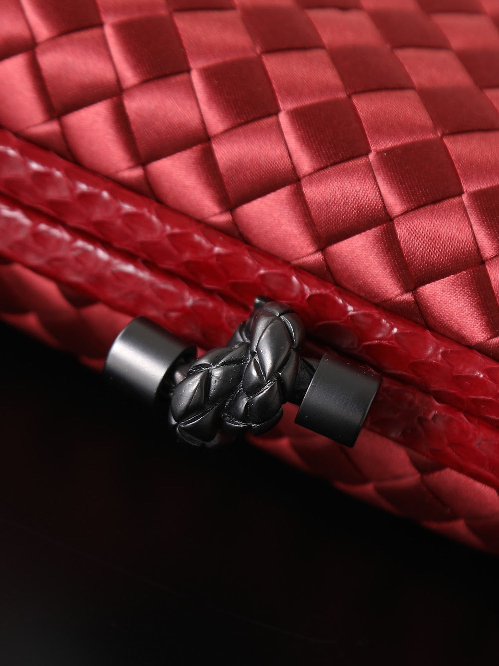 Ezyycart Bags Bottegan Luxury Bag --91111