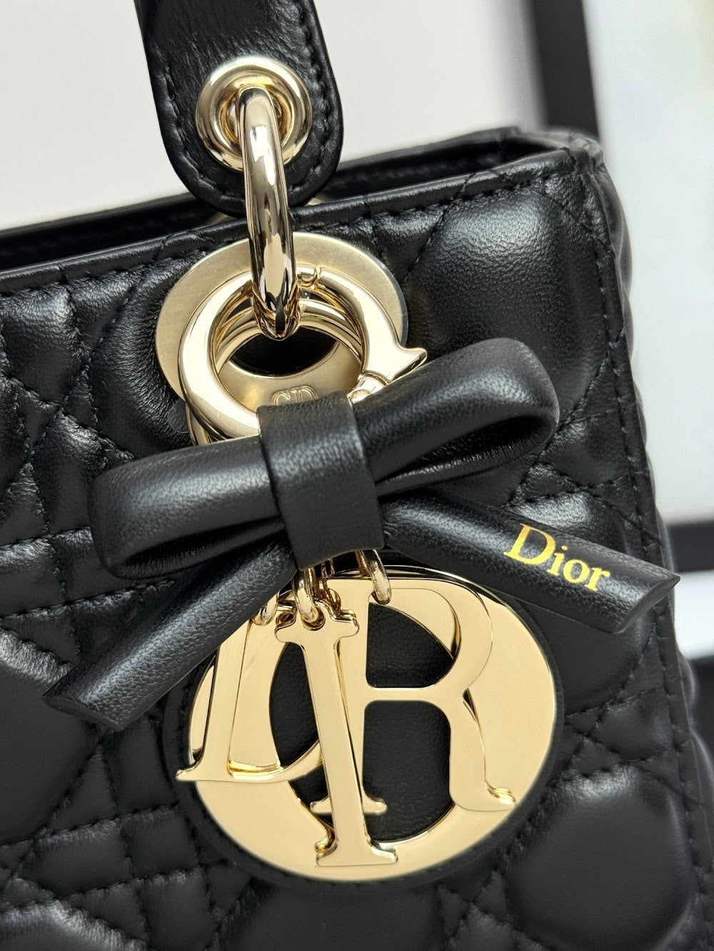 Ezyycart Bags Diorn Luxury Bag --114951