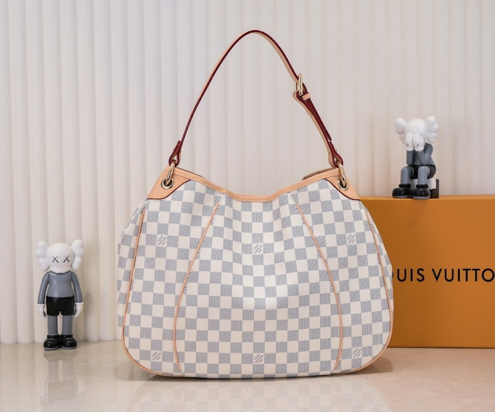 Anum Bags LVn Luxury Bag --81250