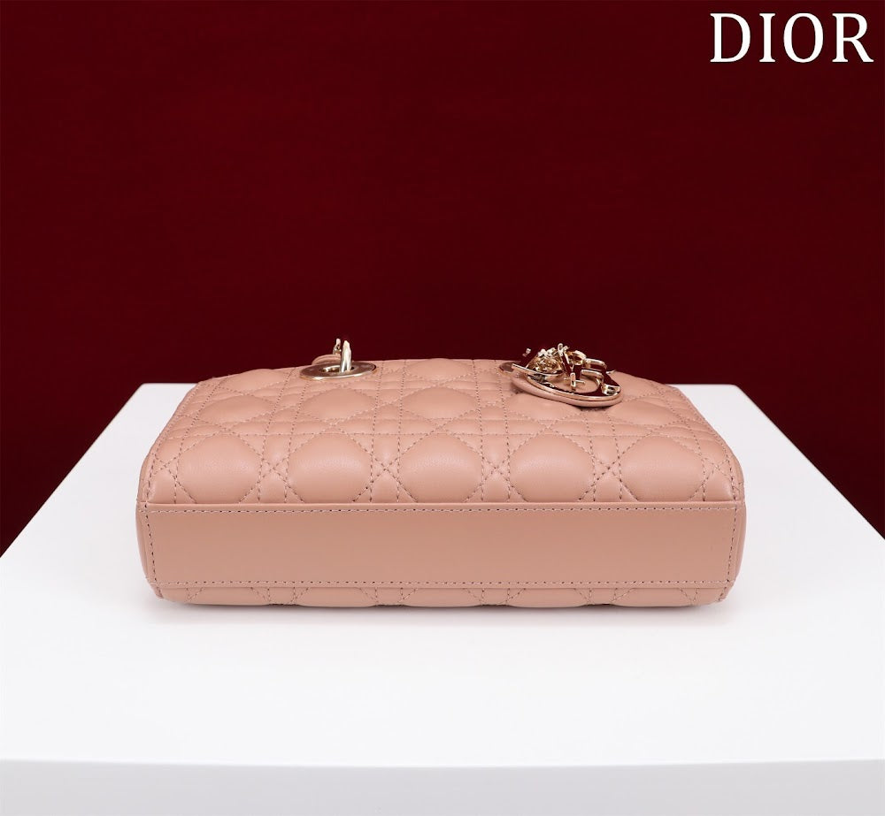 Anum Bags Diorn Luxury Bag --114748