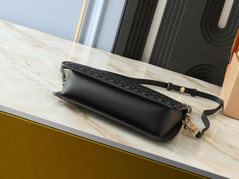 Anum Bags LVn Luxury Bag --79595
