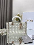 new-designer-premium-bags-nm15916