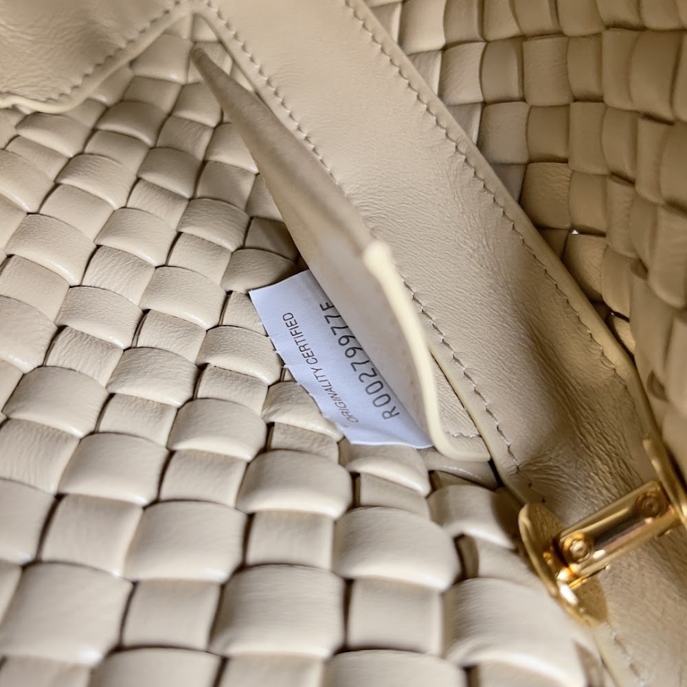 Ezyycart Bags Bottegan Luxury Bag --91548