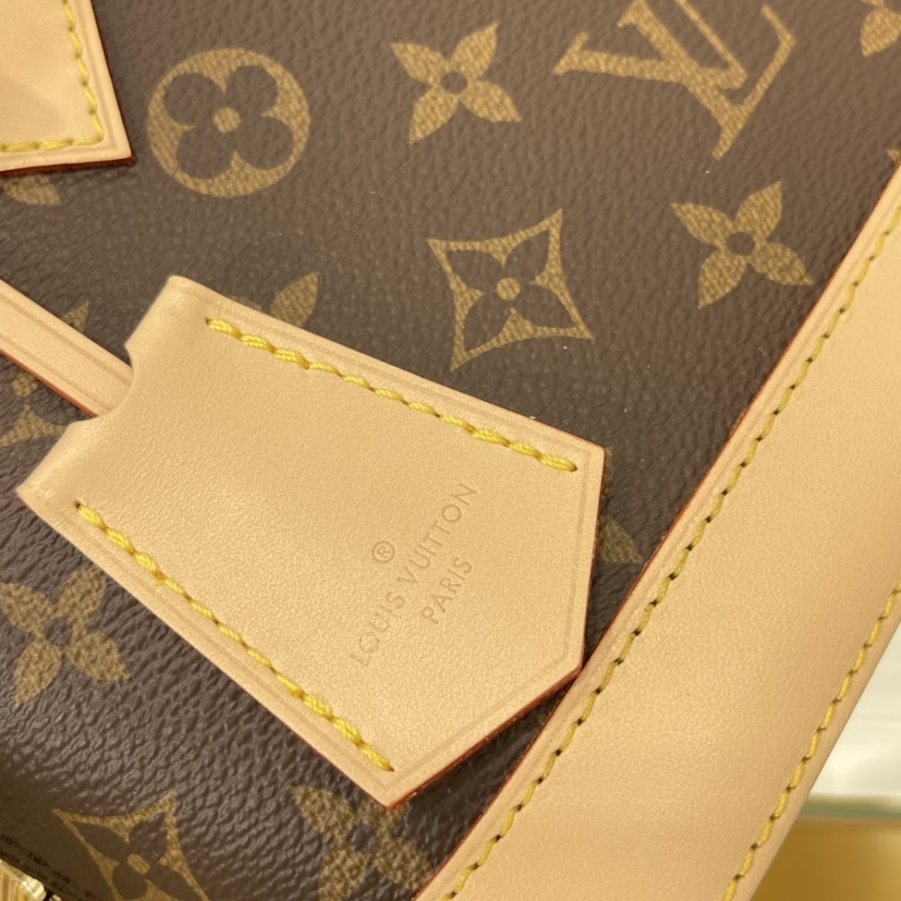 Anum Bags LVn Luxury Bag --80181