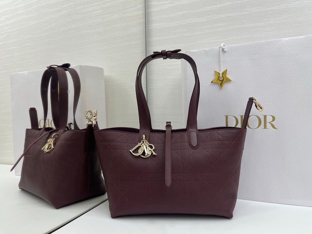 Ezyycart Bags Diorn Luxury Bag --115390