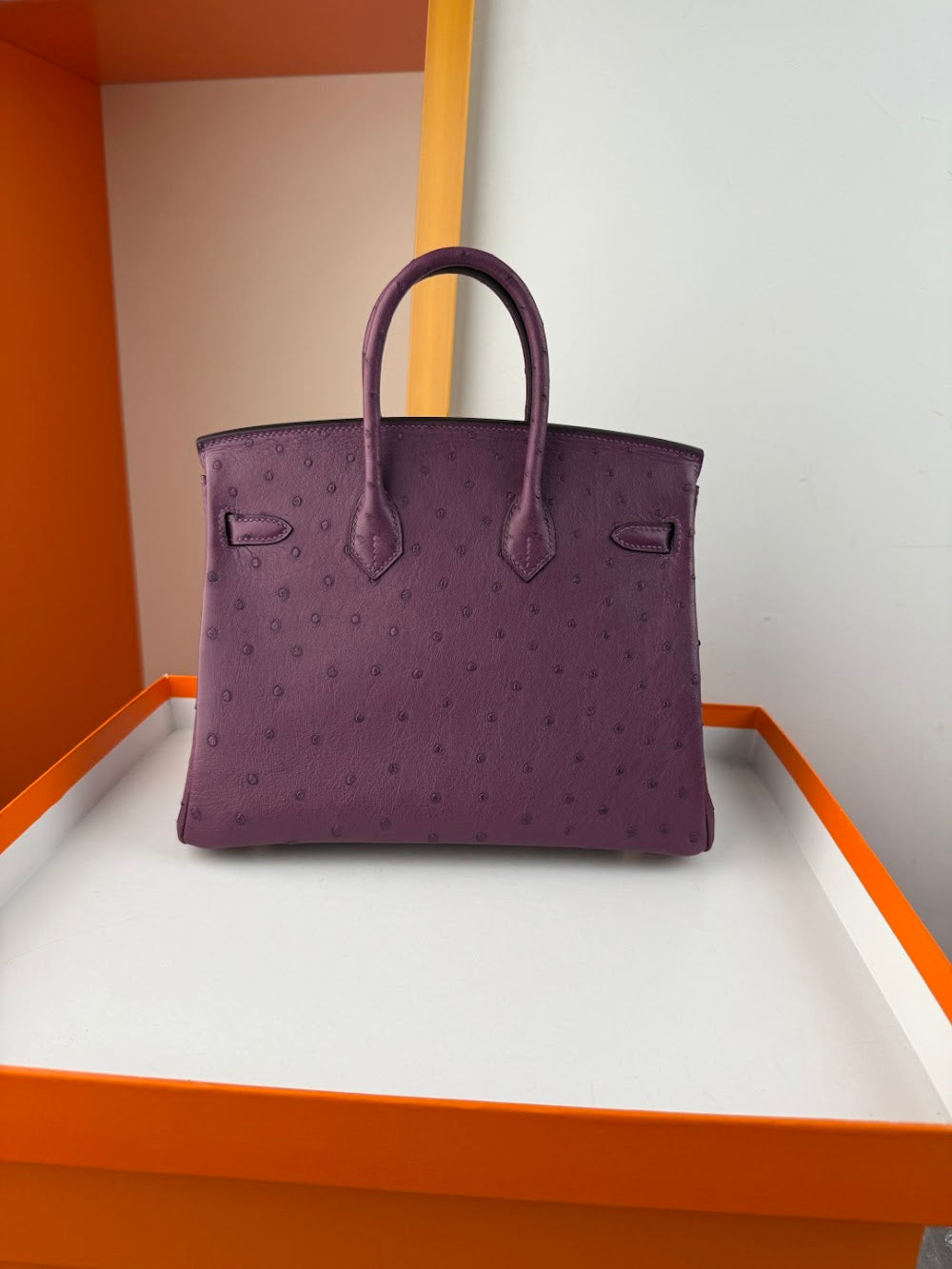 Anum Bags Hermesn Luxury Bag --116761
