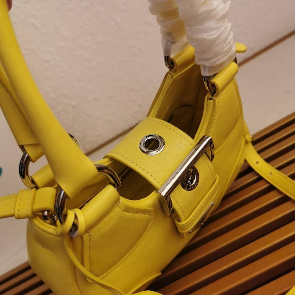 Ezyycart Bags Pradn Luxury Bag --102166