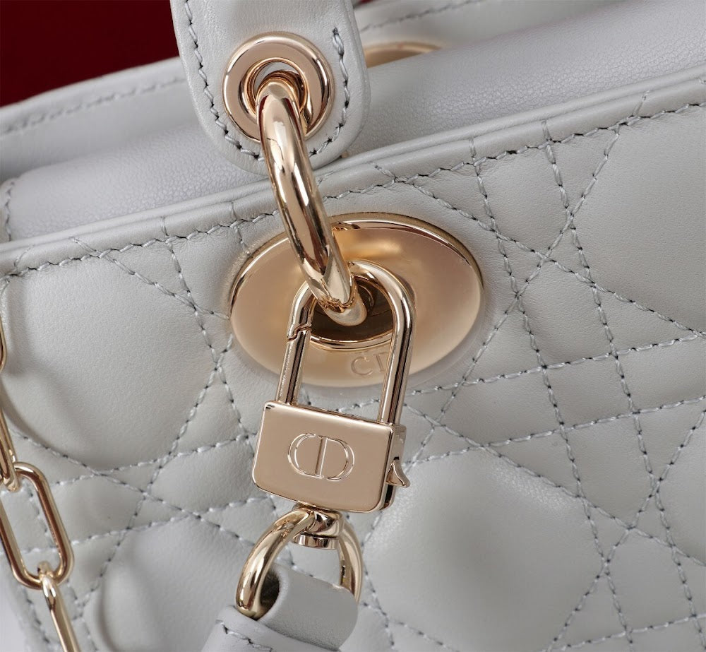 Anum Bags Diorn Luxury Bag --114730