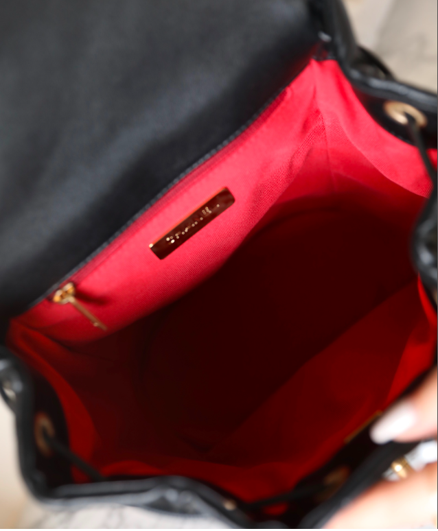 new-designer-premium-bags-nm10223