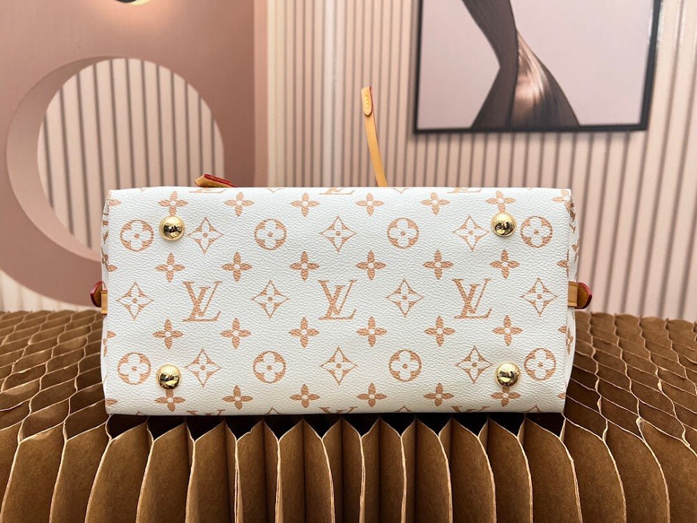 Anum Bags LVn Luxury Bag --80738