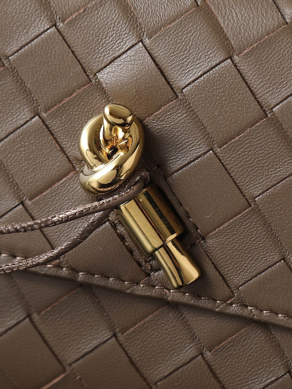 Ezyycart Bags Bottegan Luxury Bag --91400