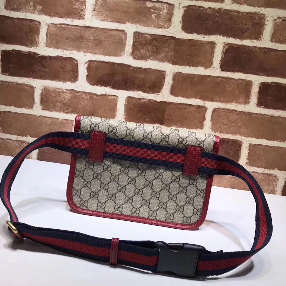 new-elite-designer-bags-nm17679