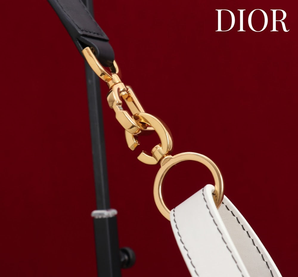 Ezyycart Bags Diorn Luxury Bag --116115