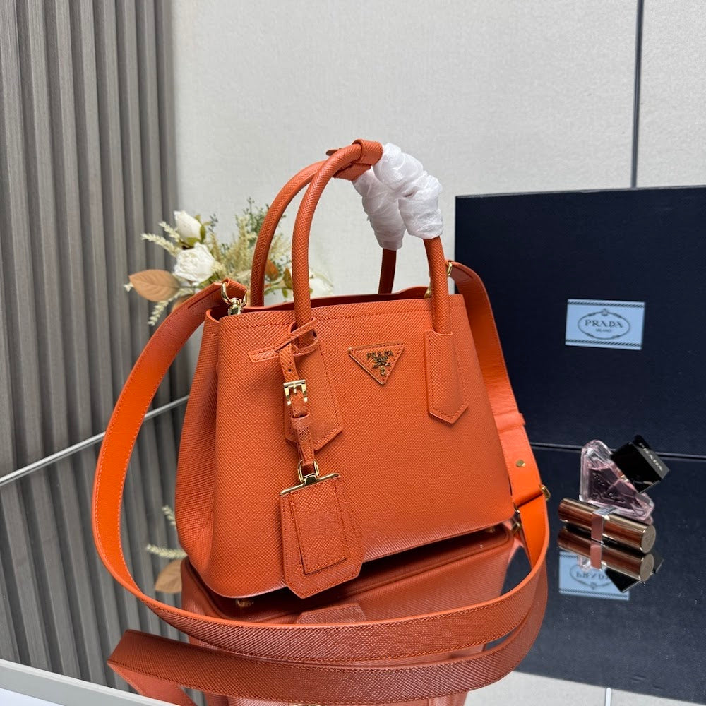 Ezyycart Bags Pradn Luxury Bag --102319