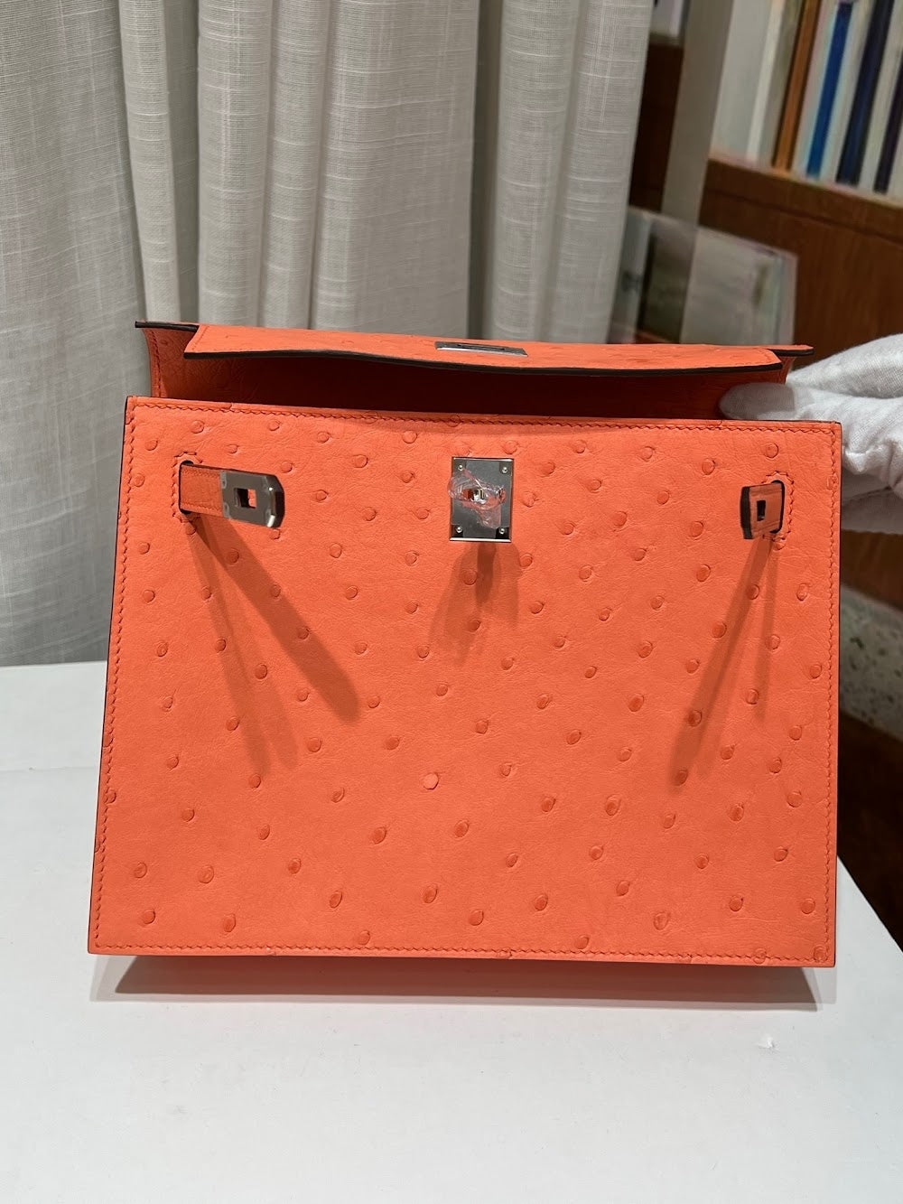 Anum Bags Hermesn Luxury Bag --117312