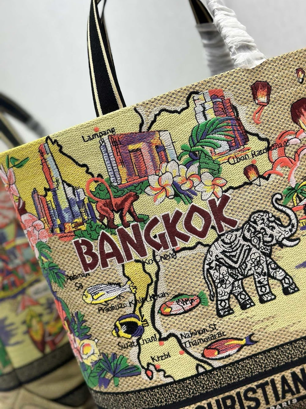 Ezyycart Bags Diorn Luxury Bag --115507