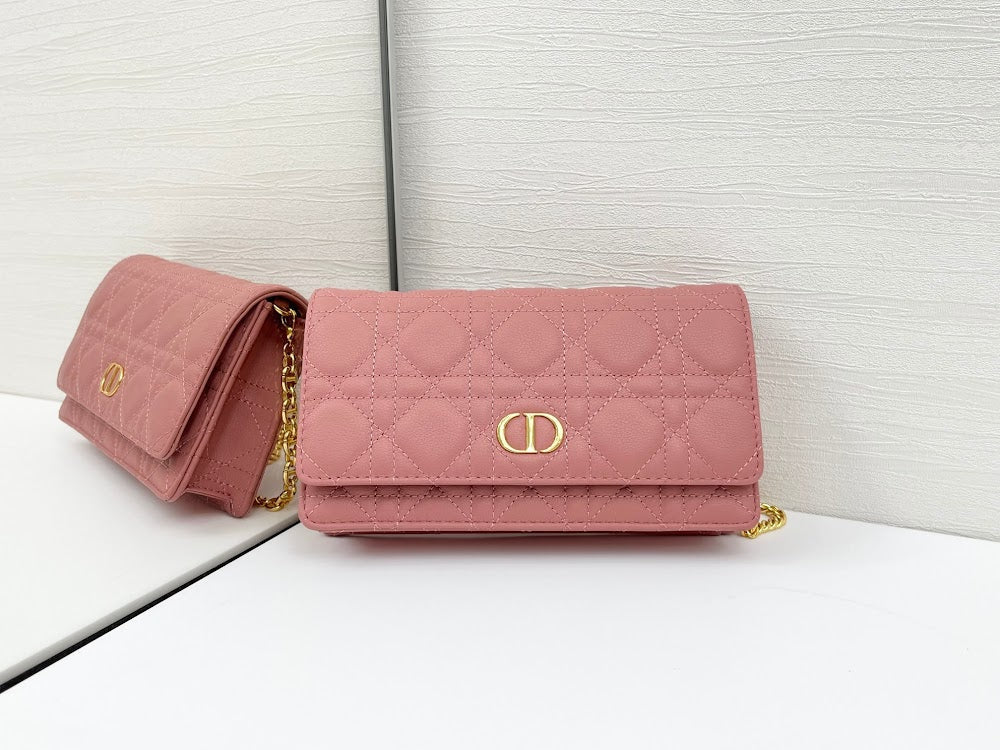 Anum Bags Diorn Luxury Bag --114802
