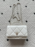 Anum Bags CHn Luxury Bag --112709
